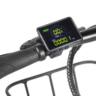 Bicicleta Eléctrica Plegable Youin Dallas