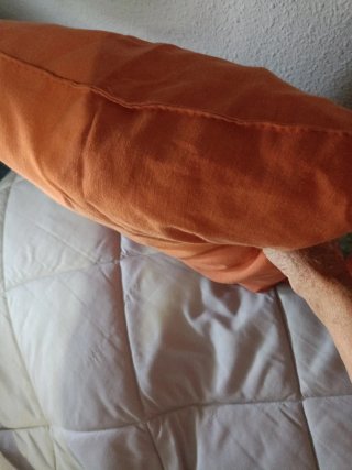 2 Cojines Naranja