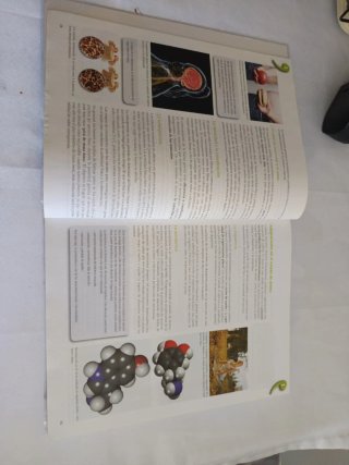 Educación física, Bachillerato (Teide)