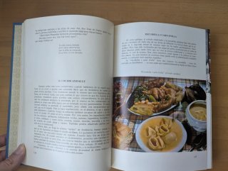 El libro de la cocina española - Néstor Luján