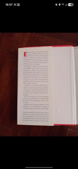 Il muro