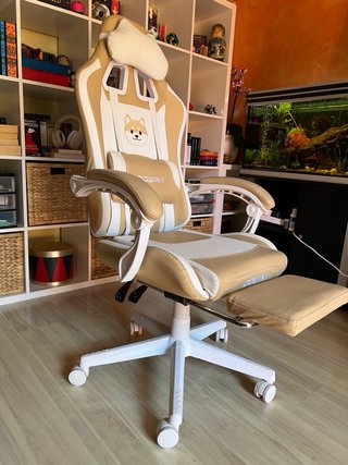 Silla Gamer DOWINX poco uso