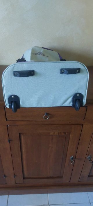 Zaino Trolley Egon Furstenberg Grigio Viola