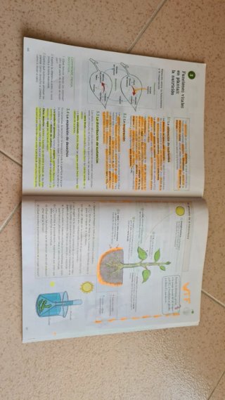Libros anaya de 1° ESO