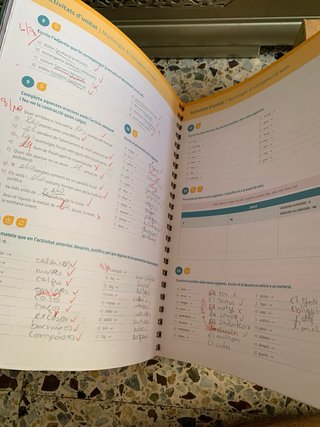 Llengua Catalana i Literatura 1