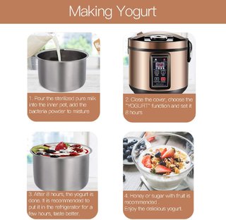 Fermentador Ajo Negro y Yogurtera MLGB 6