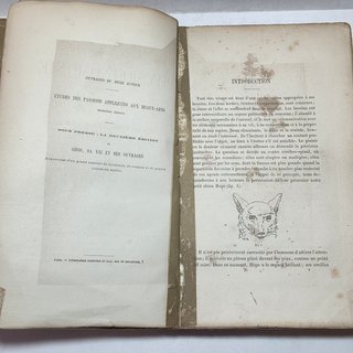 Libro Antico 1866 De La Physiognomonie Delestre