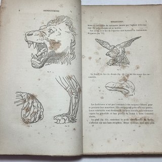 Libro Antico 1866 De La Physiognomonie Delestre