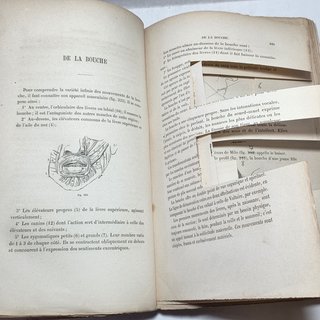 Libro Antico 1866 De La Physiognomonie Delestre