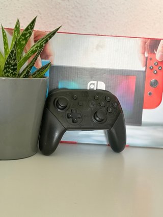 Mando Pro Nintendo Switch Negro