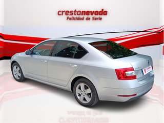Octavia - DESDE 243€/MES ¡SIN PAGAR ENTRADA!