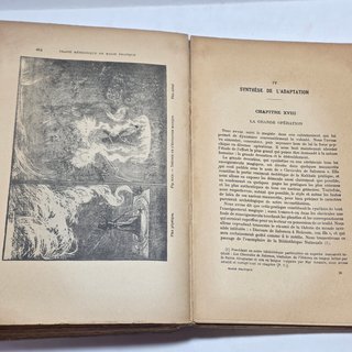 Libro Magia 1937 Traité De Magie Pratique Papus