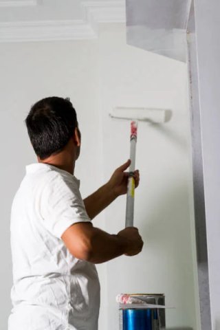 Pintor económico