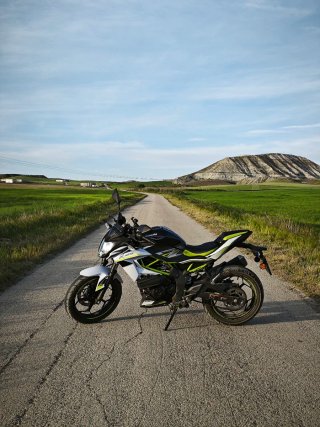 Kawasaki Z125 2021 Verde/Blanco
