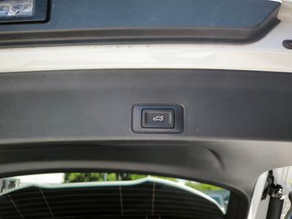 Cupra Terramar 1.5 TSI e-Hybrid 150kW (204 CV) DSG Beyo