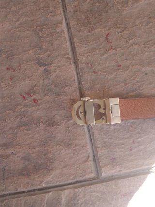 Cinturone Gucci Beige e Dorato