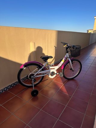 Bicicleta Infantil Denbike 20 con ruedines