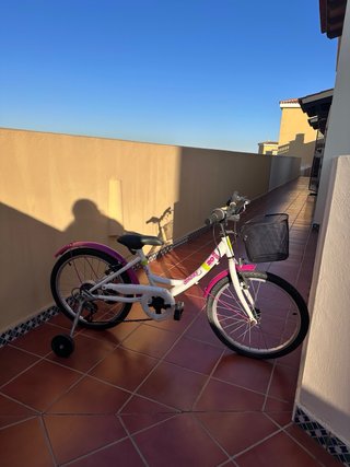 Bicicleta Infantil Denbike 20 con ruedines