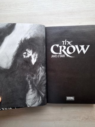 The Crow (El Cuervo)