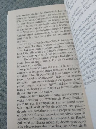 Libro Comment je suis devenu stupide