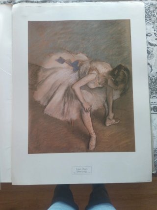 Láminas de exposición de arte con carpeta del lote