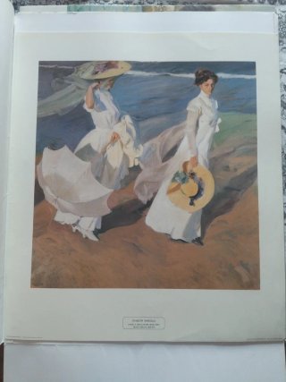 Láminas de exposición de arte con carpeta del lote