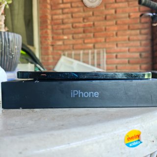 iPhone 12 Pro Max 256GB Azul Bateria 100%