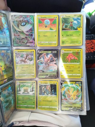 Colección Cartas Pokémon  Todas las que queráis