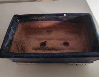 Maceta de bonsai de cerámica azul