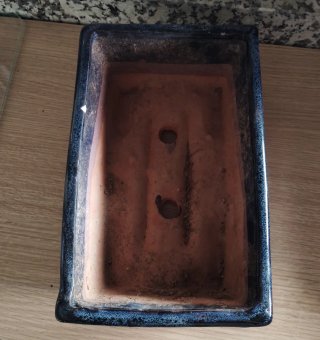 Maceta de bonsai de cerámica azul