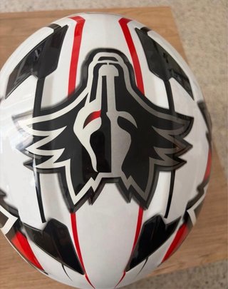 Casco Moto NZI Wild Wolf