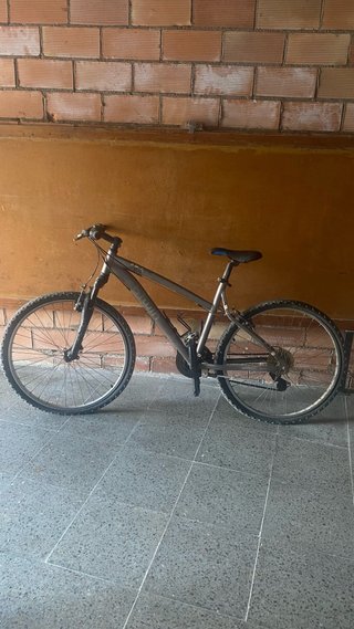 Bicicleta Montaña/Paseo Gris