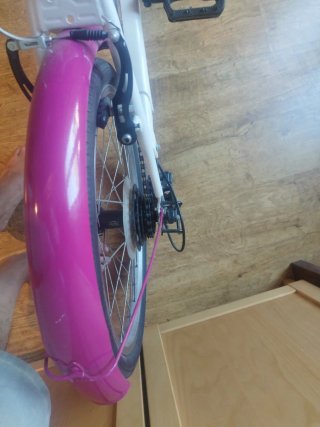 Bicicleta infantil Denbike 20