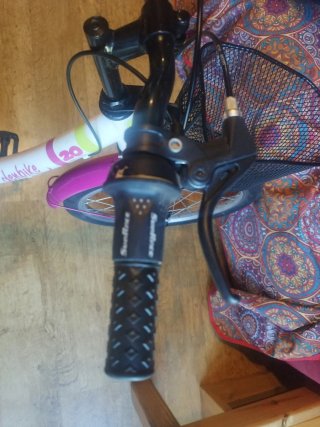 Bicicleta infantil Denbike 20