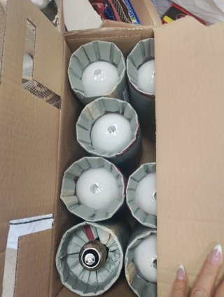 Bombilla GE Kolorlux 250W Industrial