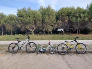 Bicicleta infantil Trek Precaliber 16