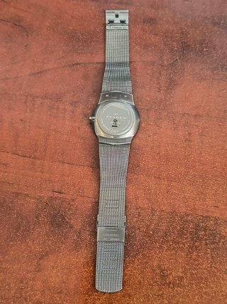 Reloj Skagen Titanio
