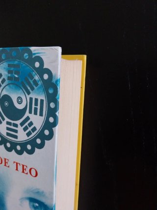 El viaje de Teo