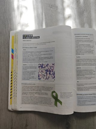 Proyecto: FanFest - Biología y Geología 3 ESO