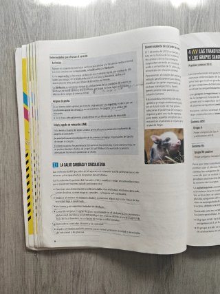 Proyecto: FanFest - Biología y Geología 3 ESO