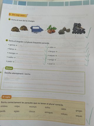 Ortografia catalana 3 Primària Baula