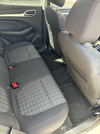 Mg ZS 2025