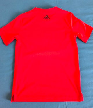 Lote Ropa Infantil 10 Años Adidas Zara