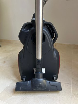 Aspiradora AEG LX7 sin bolsa + cepillo mascotas