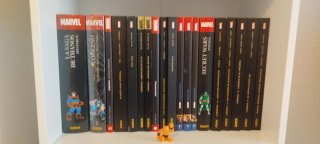 Lote de novelas gráficas y cómics