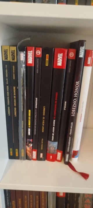 Lote de novelas gráficas y cómics