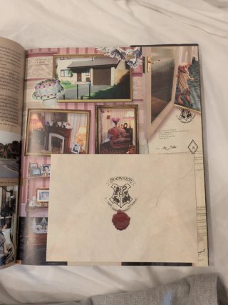Los tesoros de Harry Potter Fotografías y recue...