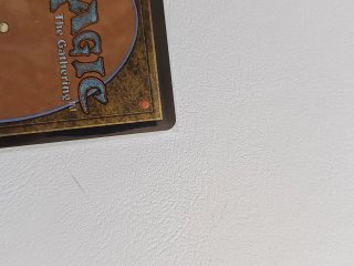 Carta Magic: The Gathering - Birds of Paradise M11
