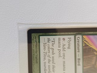 Carta Magic: The Gathering - Birds of Paradise M11