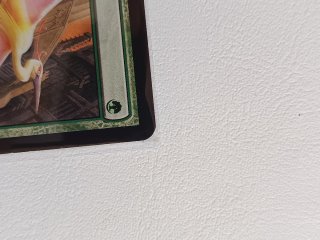 Carta Magic: The Gathering - Birds of Paradise M11